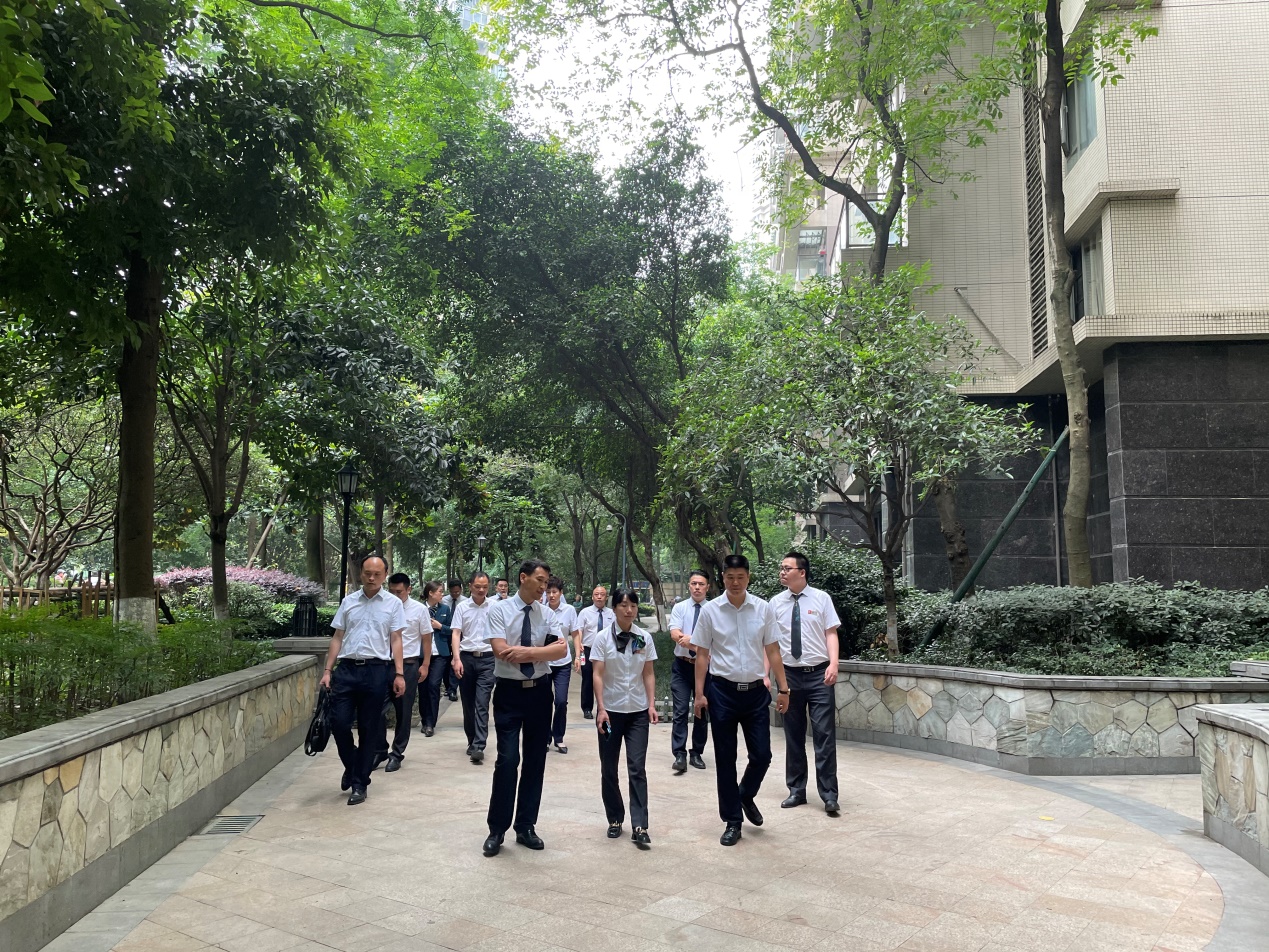 1621924104296016277.jpg 10.jpg